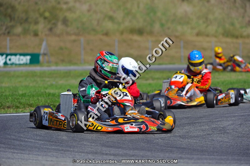 DSC_ (1395).jpg